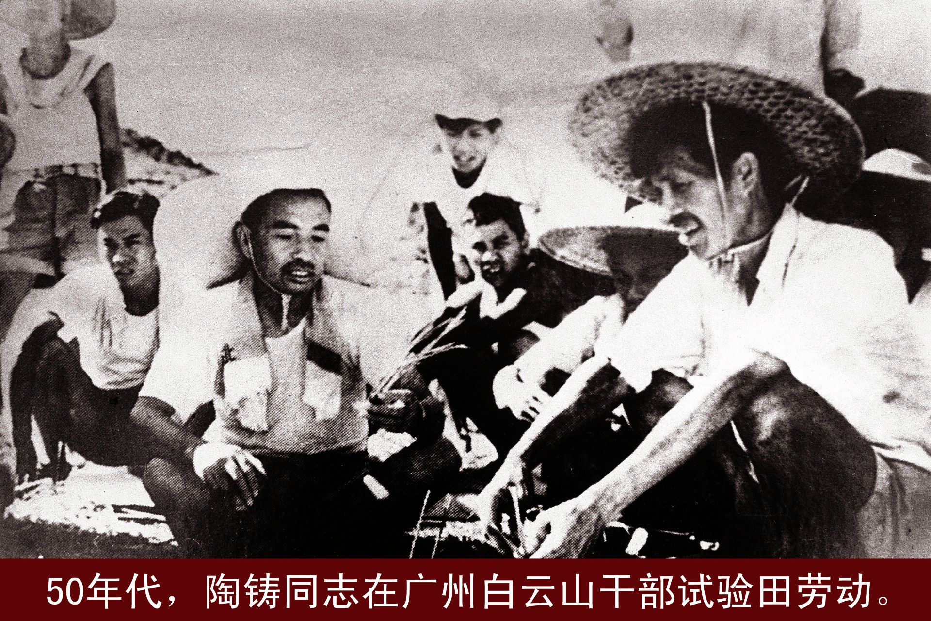 陶铸同志在广州白云山干部试验田劳动